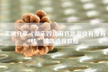 实测分享“微乐四川麻将跑得快有没有挂”辅助透视教程