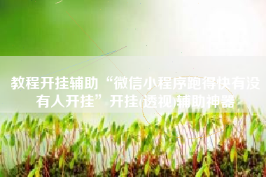 教程开挂辅助“微信小程序跑得快有没有人开挂”开挂(透视)辅助神器