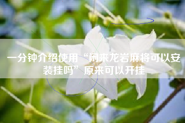 一分钟介绍使用“闲来龙岩麻将可以安装挂吗”原来可以开挂 一分钟介绍使用“闲来龙岩麻将可以安装挂吗”原来可以开挂