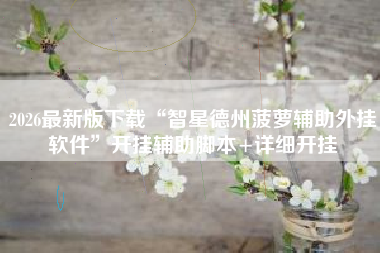 2026最新版下载“智星德州菠萝辅助外挂软件”开挂辅助脚本+详细开挂 2026最新版下载“智星德州菠萝辅助外挂软件”开挂辅助脚本+详细开挂