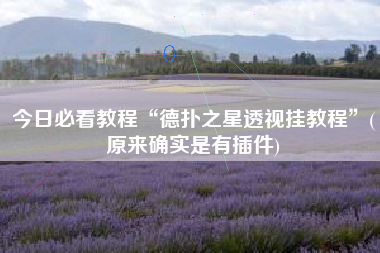 今日必看教程“德扑之星透视挂教程”(原来确实是有插件)