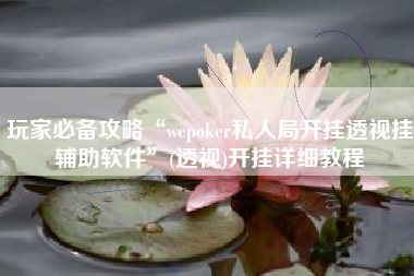 玩家必备攻略“wepoker私人局开挂透视挂辅助软件”(透视)开挂详细教程