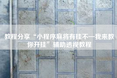 教程分享“小程序麻将有挂不—我来教你开挂”辅助透视教程 教程分享“小程序麻将有挂不—我来教你开挂”辅助透视教程