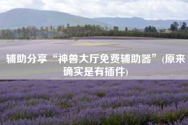 辅助分享“神兽大厅免费辅助器”(原来确实是有插件)