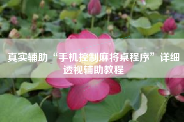 真实辅助“手机控制麻将桌程序”详细透视辅助教程