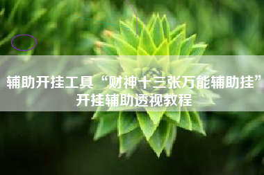 辅助开挂工具“财神十三张万能辅助挂”开挂辅助透视教程