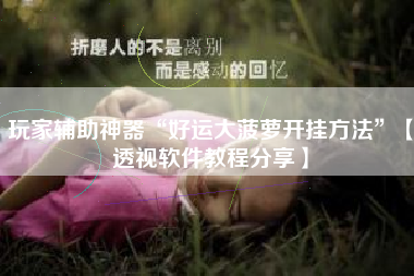 玩家辅助神器“好运大菠萝开挂方法”【透视软件教程分享】