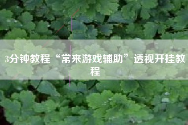 3分钟教程“常来游戏辅助”透视开挂教程