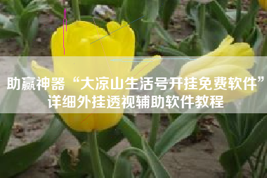 助赢神器“大凉山生活号开挂免费软件”详细外挂透视辅助软件教程