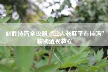 必胜技巧全攻略“二人老麻子有挂吗”辅助透视教程 必胜技巧全攻略“二人老麻子有挂吗”辅助透视教程