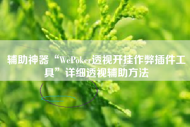 辅助神器“WePoker透视开挂作弊插件工具”详细透视辅助方法 辅助神器“WePoker透视开挂作弊插件工具”详细透视辅助方法