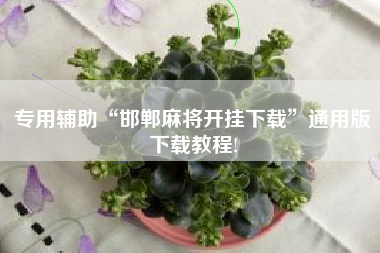 专用辅助“邯郸麻将开挂下载”通用版下载教程!