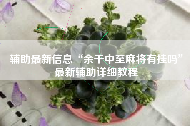 辅助最新信息“余干中至麻将有挂吗”最新辅助详细教程