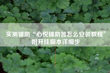 实测辅助“心悦辅助器怎么安装教程”附开挂脚本详细步
