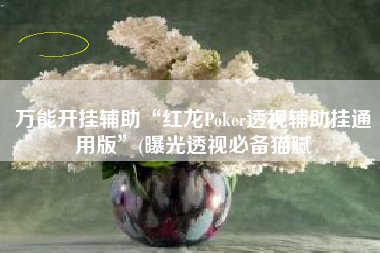 万能开挂辅助“红龙Poker透视辅助挂通用版”(曝光透视必备猫腻
