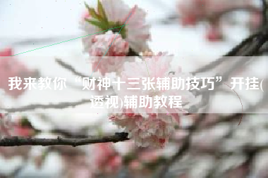 我来教你“财神十三张辅助技巧”开挂(透视)辅助教程 我来教你“财神十三张辅助技巧”开挂(透视)辅助教程