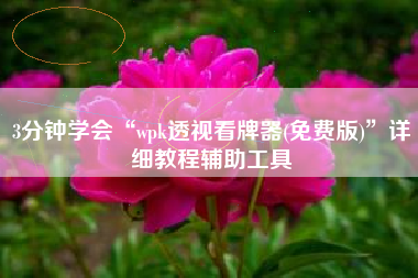 3分钟学会“wpk透视看牌器(免费版)”详细教程辅助工具 3分钟学会“wpk透视看牌器(免费版)”详细教程辅助工具