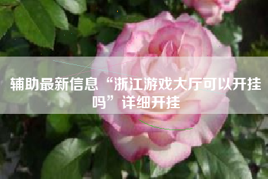 辅助最新信息“浙江游戏大厅可以开挂吗”详细开挂