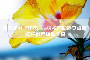 独家实测“红龙poker透视辅助器安卓版”详细教程辅助工具