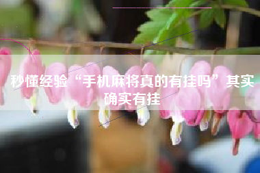 秒懂经验“手机麻将真的有挂吗”其实确实有挂