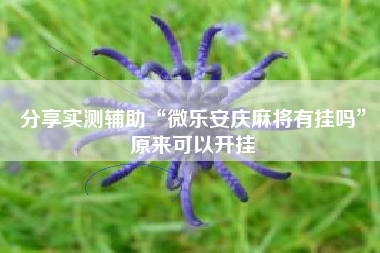 分享实测辅助“微乐安庆麻将有挂吗”原来可以开挂