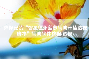 教你安装“智星德州菠萝辅助开挂透视脚本”辅助软件教程(透视)