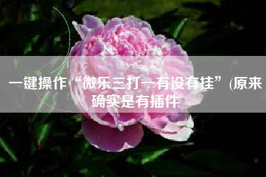 一键操作“微乐三打一有没有挂”(原来确实是有插件