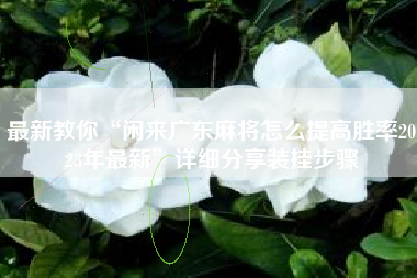 最新教你“闲来广东麻将怎么提高胜率2023年最新”详细分享装挂步骤