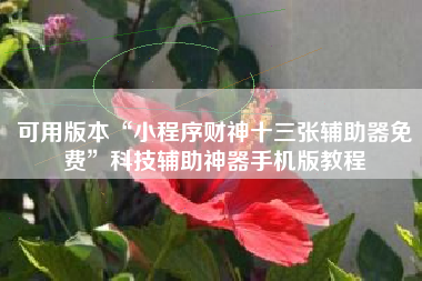 可用版本“小程序财神十三张辅助器免费”科技辅助神器手机版教程