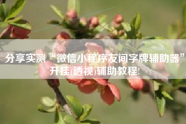 分享实测“微信小程序友间字牌辅助器”开挂(透视)辅助教程!