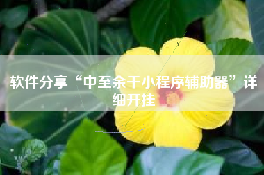 软件分享“中至余干小程序辅助器”详细开挂 软件分享“中至余干小程序辅助器”详细开挂