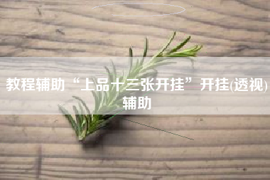 教程辅助“上品十三张开挂”开挂(透视)辅助 教程辅助“上品十三张开挂”开挂(透视)辅助