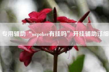 专用辅助“wepoker有挂吗”开挂辅助详细