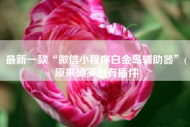 最新一款“微信小程序白金岛辅助器”(原来确实是有插件