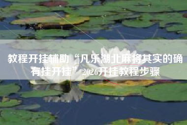 教程开挂辅助“凡乐湖北麻将其实的确有挂开挂”2026开挂教程步骤