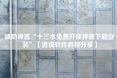 辅助神器“十三水免费开挂神器下载安装”【透视软件教程分享】