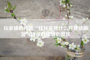 玩家辅助神器“桂林字牌什么开挂辅助器”透视开挂辅助教程