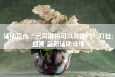 辅助盘点“云霄麻将可以开挂吗”开挂(透视)最新辅助详细