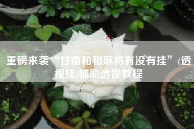 重磅来袭“甘南和和麻将有没有挂”(透视挂)辅助透视教程 重磅来袭“甘南和和麻将有没有挂”(透视挂)辅助透视教程