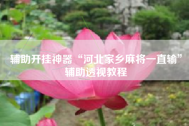 辅助开挂神器“河北家乡麻将一直输”辅助透视教程