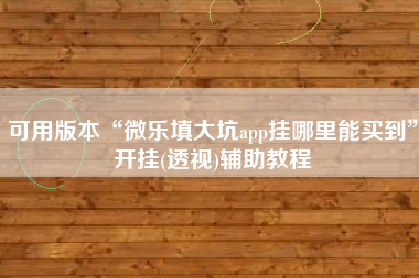 可用版本“微乐填大坑app挂哪里能买到”开挂(透视)辅助教程