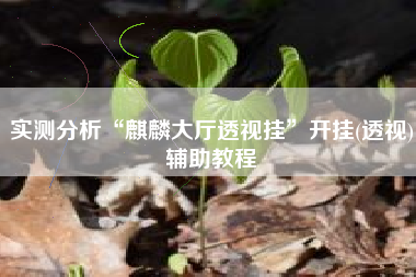 实测分析“麒麟大厅透视挂”开挂(透视)辅助教程