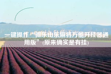 一键操作“微乐山东麻将万能开挂器通用版”(原来确实是有挂)