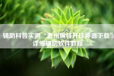 辅助科普实测“贵州麻将开挂神器下载”详细辅助软件教程 辅助科普实测“贵州麻将开挂神器下载”详细辅助软件教程