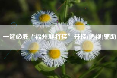 一键必胜“福州麻将挂”开挂(透视)辅助