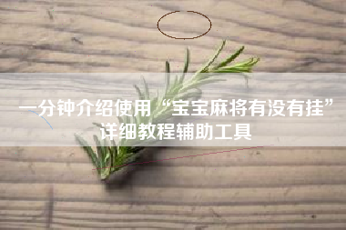 一分钟介绍使用“宝宝麻将有没有挂”详细教程辅助工具