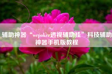 辅助神器“wepoker透视辅助挂”科技辅助神器手机版教程 辅助神器“wepoker透视辅助挂”科技辅助神器手机版教程