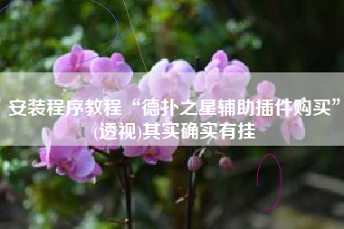 安装程序教程“德扑之星辅助插件购买”(透视)其实确实有挂 安装程序教程“德扑之星辅助插件购买”(透视)其实确实有挂