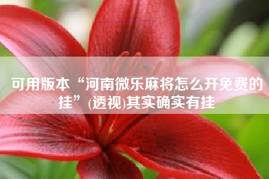 可用版本“河南微乐麻将怎么开免费的挂”(透视)其实确实有挂