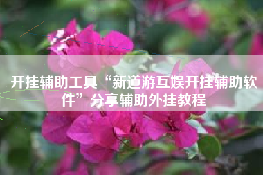 开挂辅助工具“新道游互娱开挂辅助软件”分享辅助外挂教程